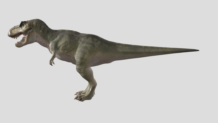 Trex 3D Model