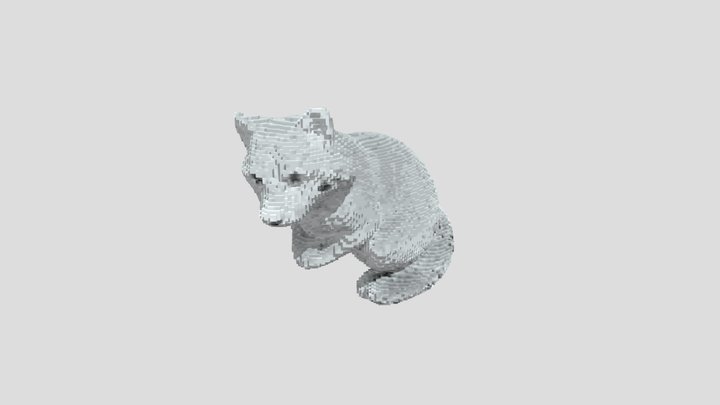 Voxelated Old White Raccoon That Lost His Eyes 3D Model