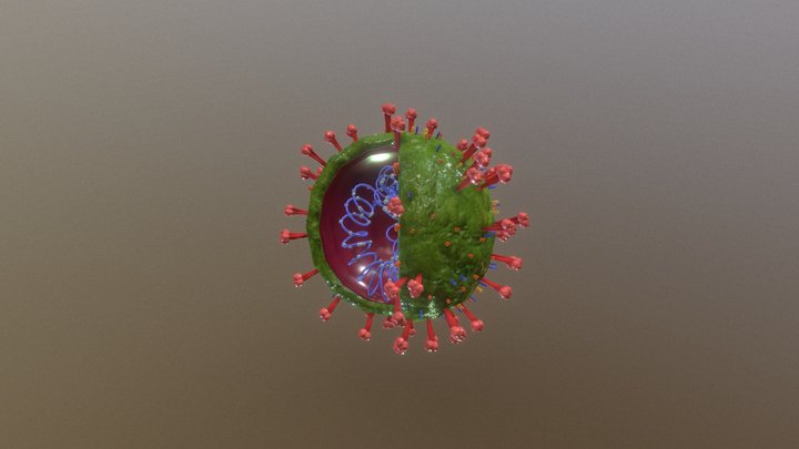 Corona Virus 3D Model