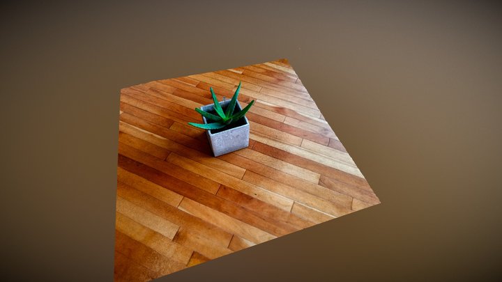 Aloe Plant (Test Model) 3D Model