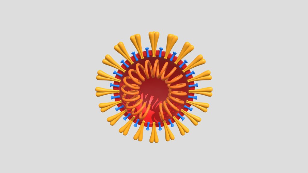 Coronavirus V3 Cross Section