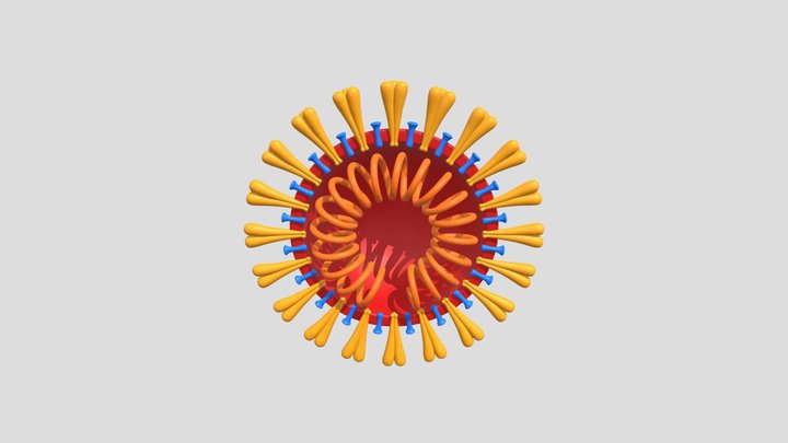 Coronavirus V3 Cross Section