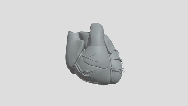 Heart Ext 3D Model