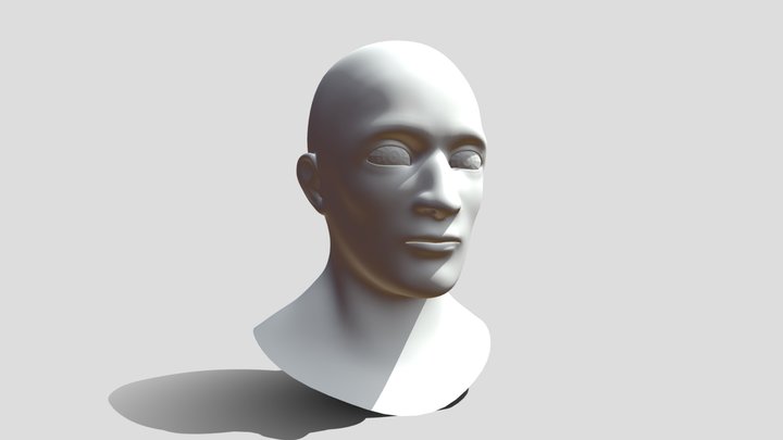 base mesh head 3D Model