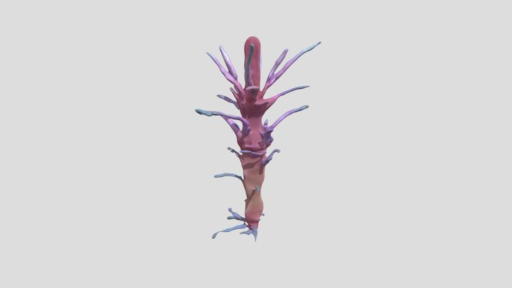 a long flower 3D Model