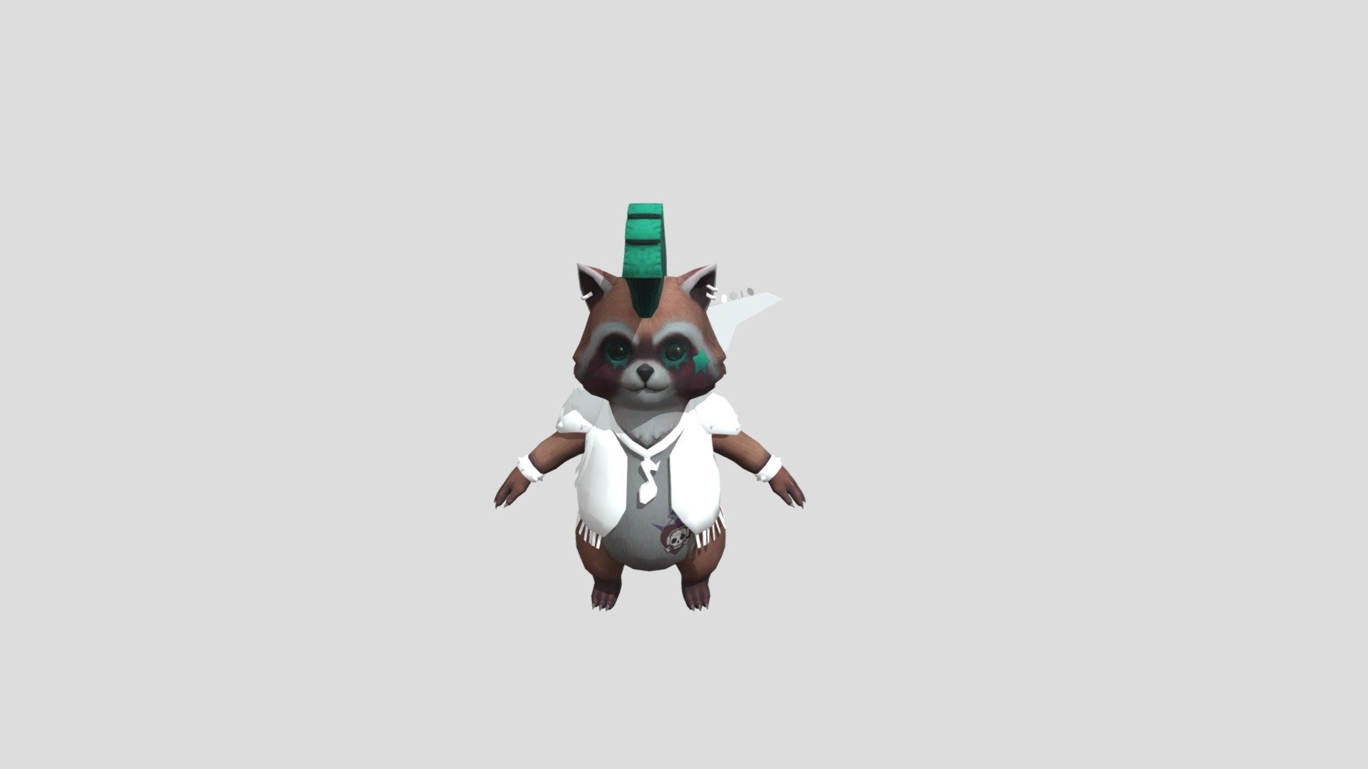 Pet - Raccoon
