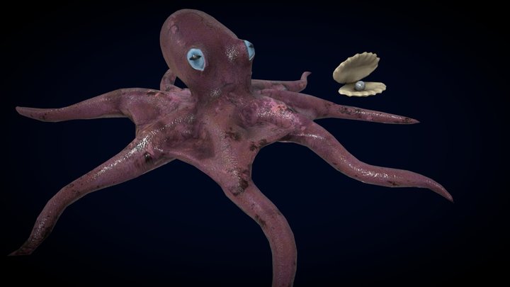 Octopus and shell 3D Model