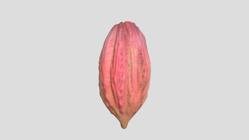 Cacao Mazorca-Agua Perla,Chiapas