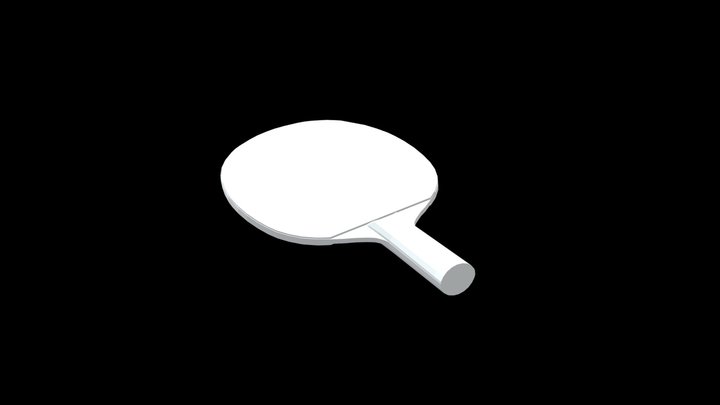 Paddle 3D Model