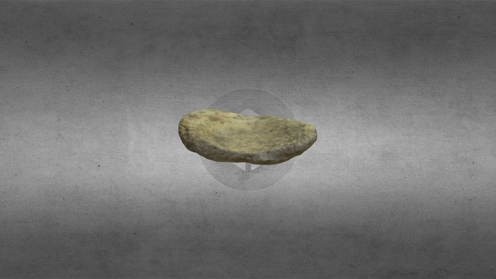 Saddle Quern - Rothe House 3D Model