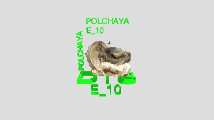 INDA_Y1_DTS E_10_Polchaya 3D Model