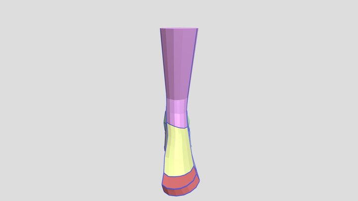 left foot model simplified 3D Model