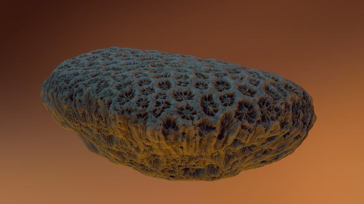 coral fakk 2 3D Model
