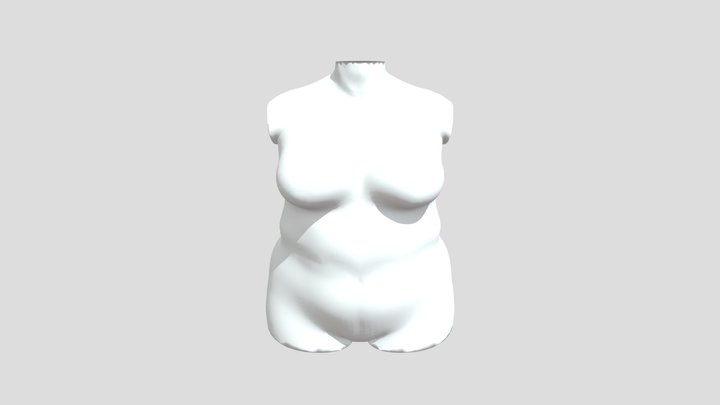Trimmed Size 24 Bust 3D Model