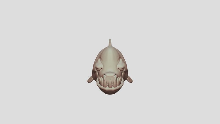 Shark 3D Model
