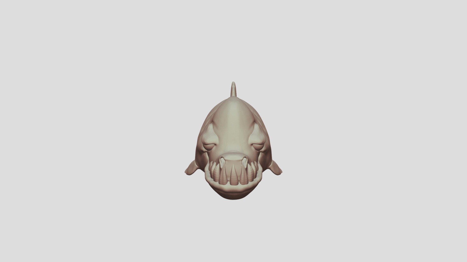 Shark