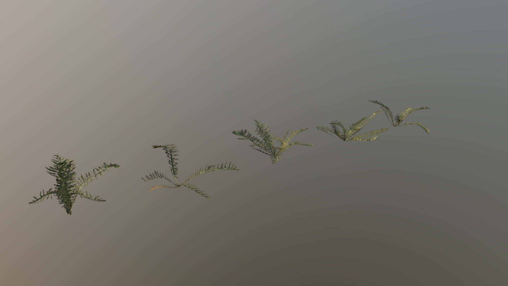 Bloodwort Pack