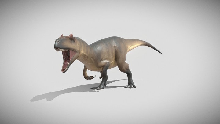 Allosaurus Fragilis 3D Model
