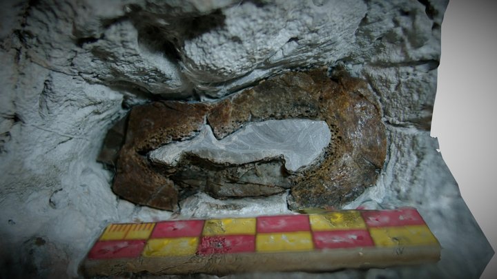 After sampling 2005 test 5 3D Model