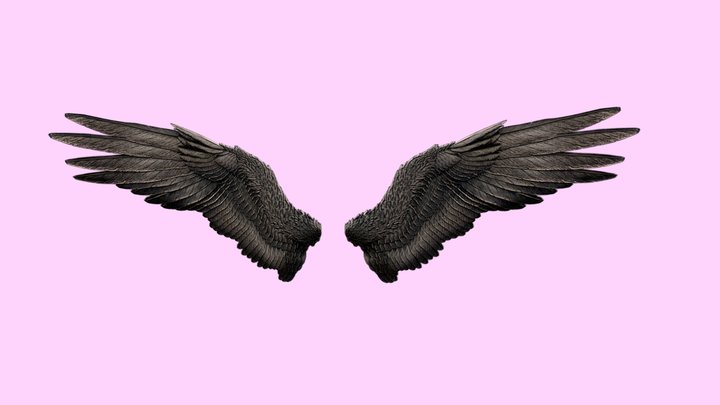 Dark-Angel-Wings 3D Model
