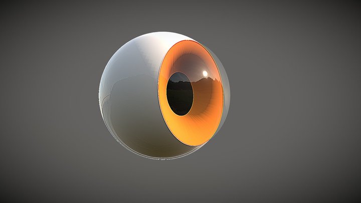 just an eye 3D Model