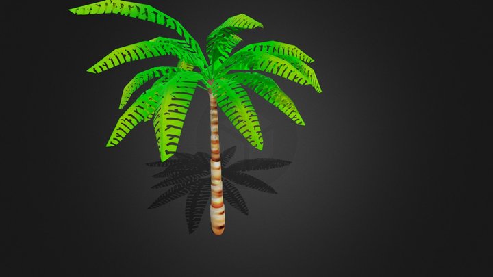 Palm Tree 3D Model
