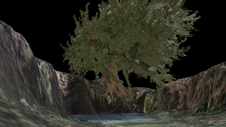 Tree 3D Model