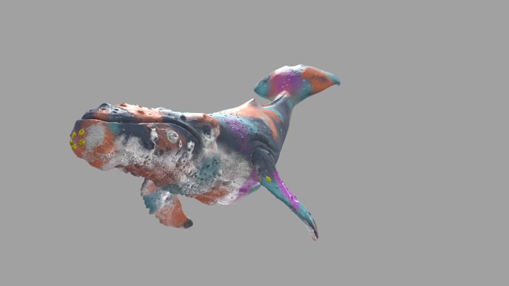 Painted Whale 3D Model