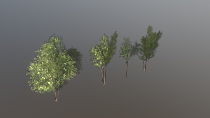 Trees 3D Model