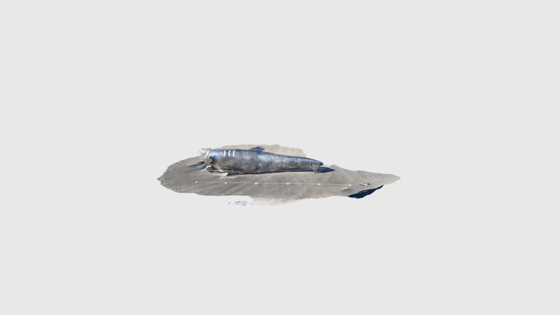 Inflatable Test #15 - 5m depth - Download Free 3D model by ...