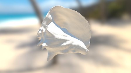 shell auto-alignment test 3D Model