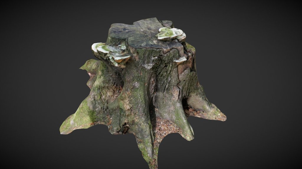 3D Scan Stump