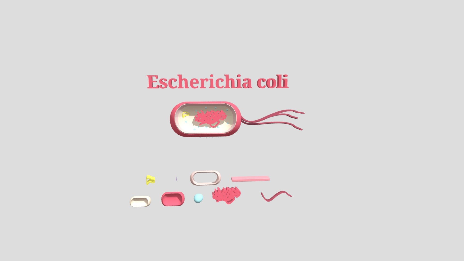 MICROUGHS_Escherichia coli1_CAR