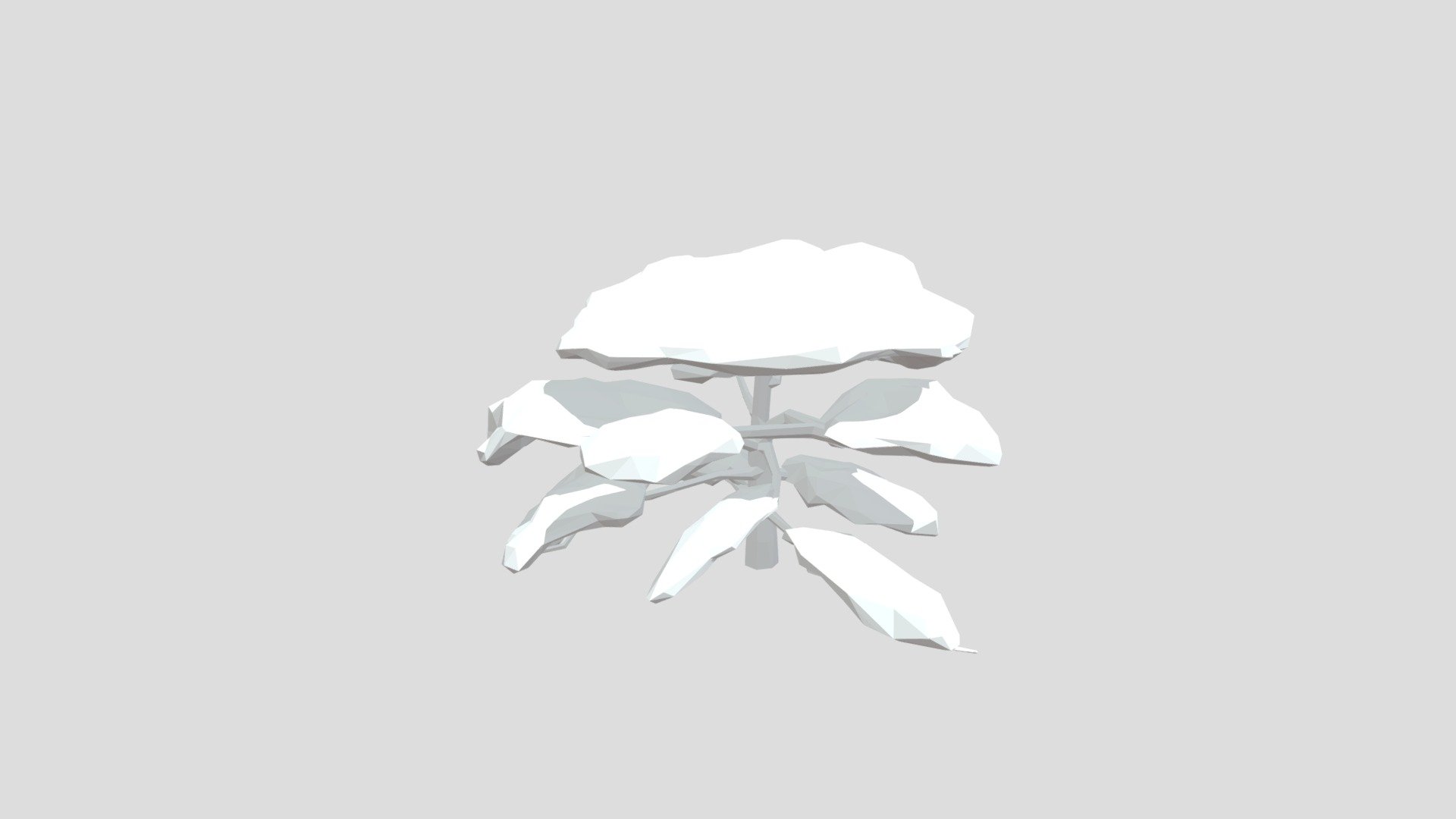 Cedar tree from Poly by Google