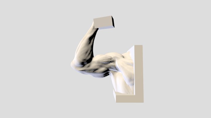 Nightsculpt 3D Model