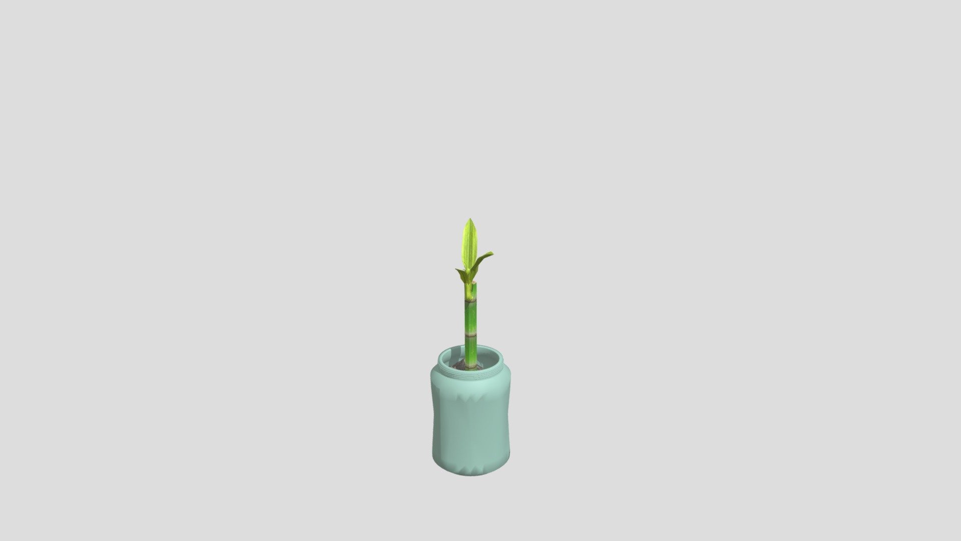 bamboo