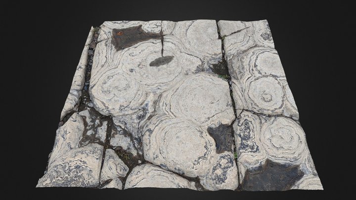 Stromatolites on the Ottawa River 3D Model
