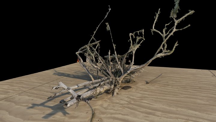 Overly complex tree 3D Model