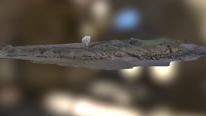 Coastal rocks , Second Severn Bridge. Wales 3D Model
