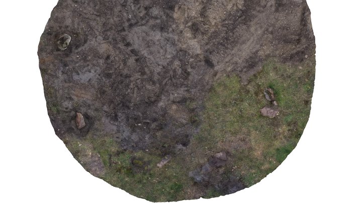 Blådjuperöd - efter rekonstruktion 3D Model