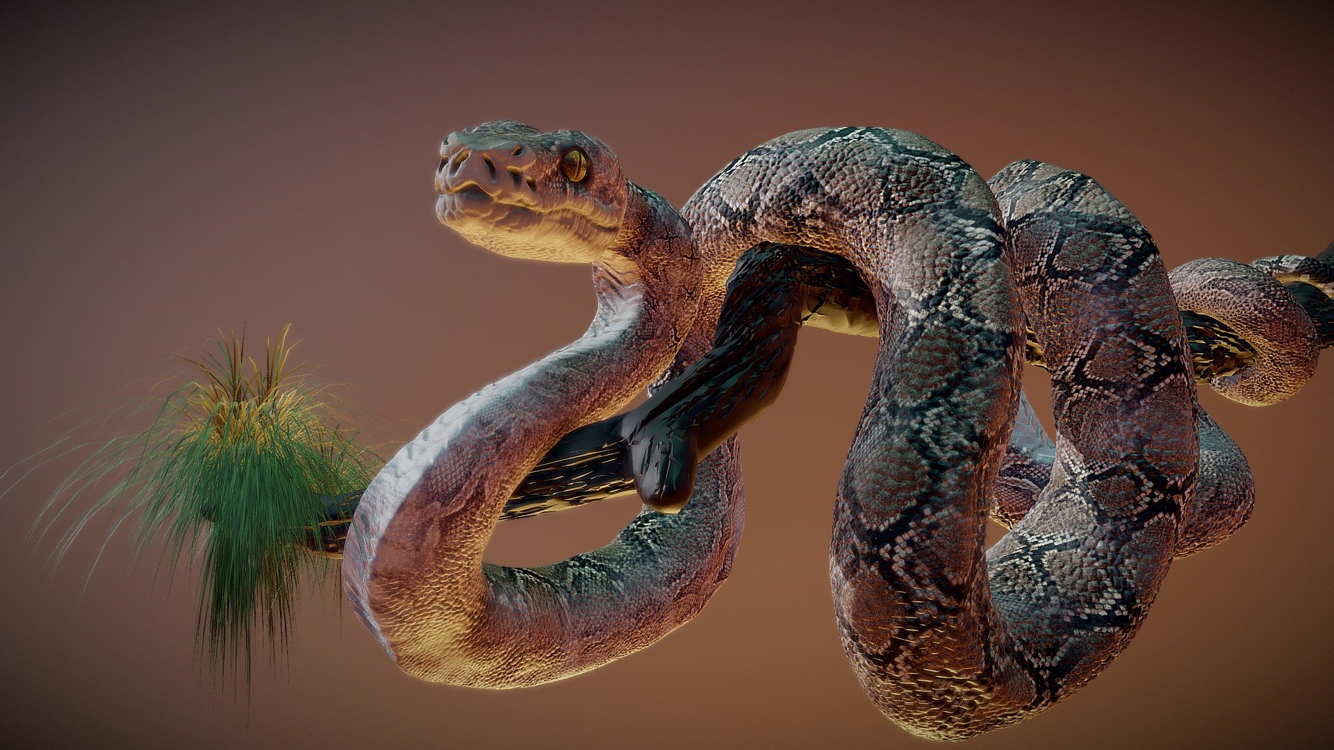 Anaconda Snake Sculpt
