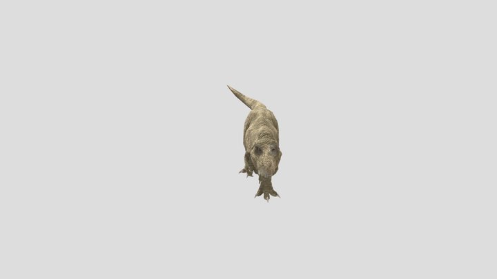 TRex 3D Model