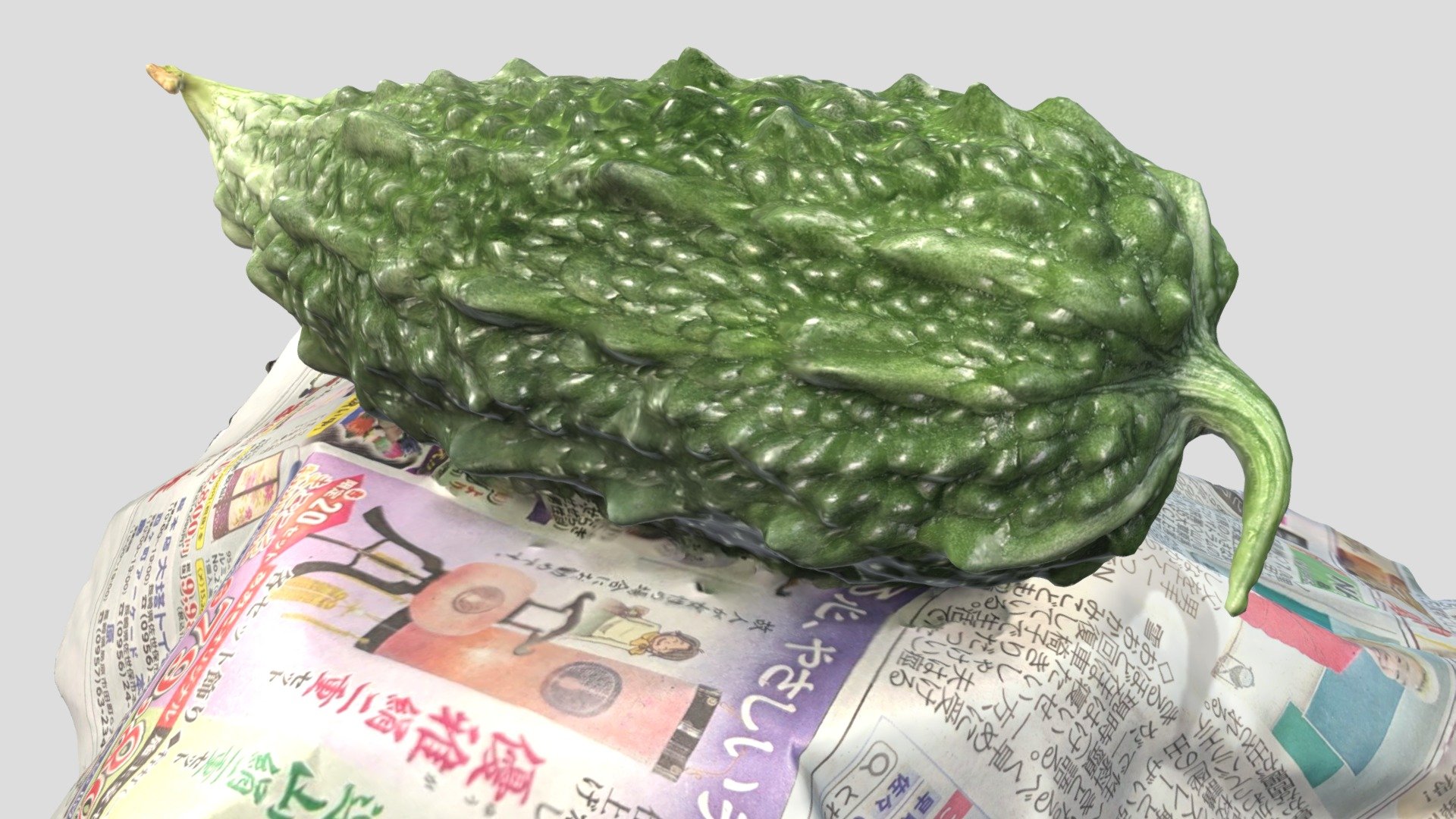 ゴーヤ - The BitterGourd -