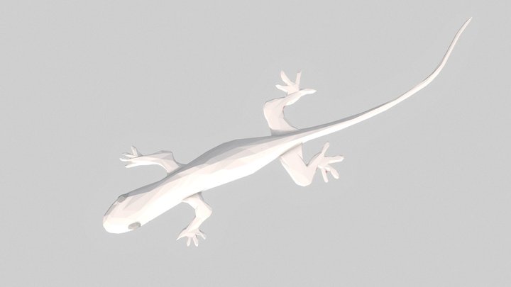 Low poly geko lizard 3D Model