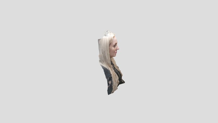 3d scan of women head test 3D Model
