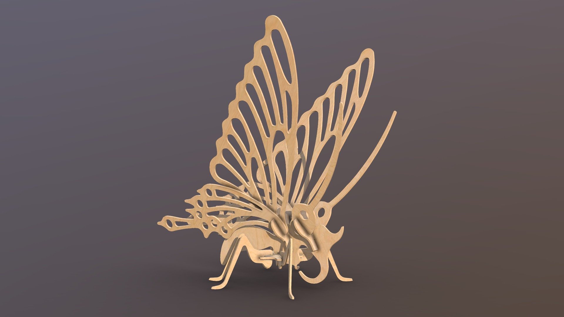 Papillon 3d- insectarium - 3D model by dns-event [5e0197a] - Sketchfab