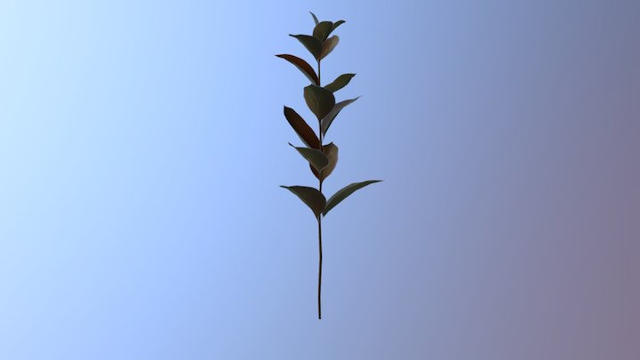 Rukus 3D Model