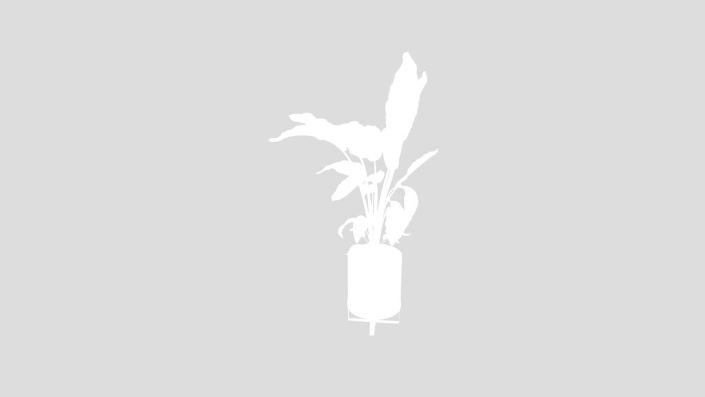 Bird Of Paradise Plant Pot