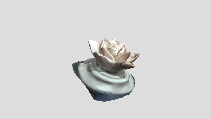 Diffuser Rose 3D Model