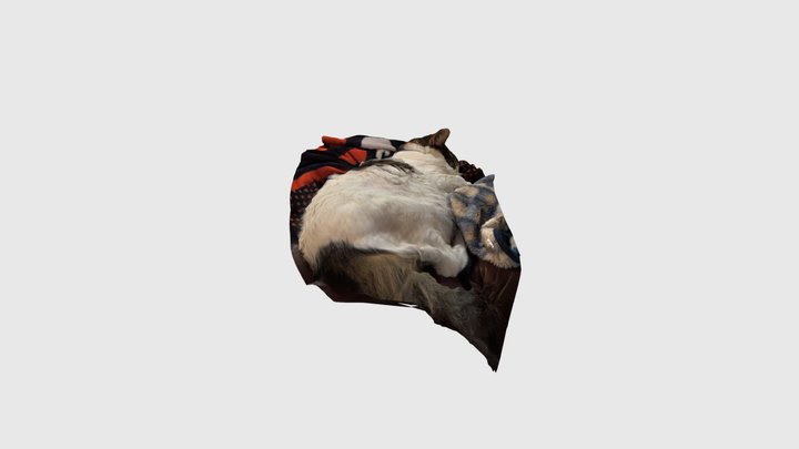 Napoleon 3D Model